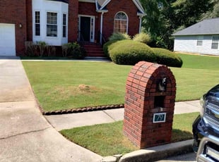 Shellise C.'s turf maintenance service result