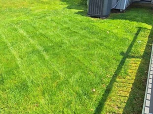 Rose G.'s lawn service service result