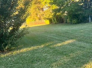 Angela L.'s lawn care service result