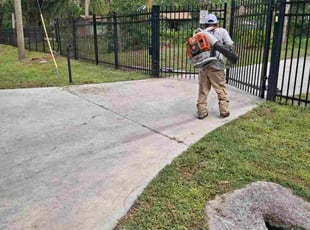 Michael H.'s lawn care service result