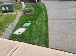 Robin B.'s turf maintenance service result