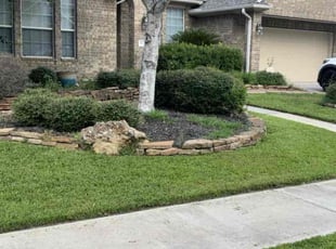 Katey H.'s turf care service result