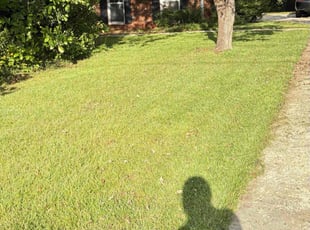 James R.'s grass cutting service result