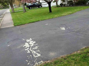 Angela S.'s Leaf Removal service result