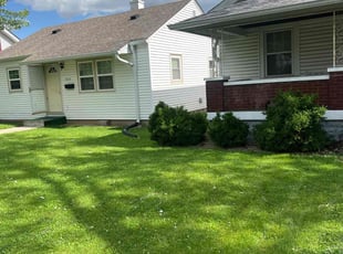 Neal S.'s yard maintenance service result