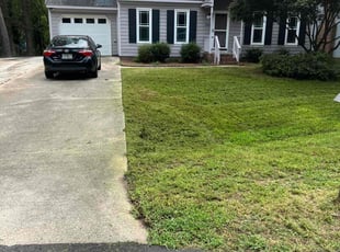 Charles P.'s lawn care service result