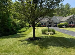Sharla K.'s turf maintenance service result