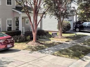 Diana Y.'s lawn care service result