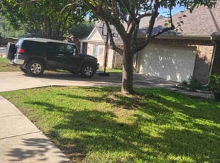 Gini K.'s Other service result