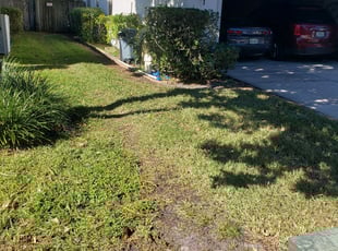Brian E.'s Bush Trimming service result
