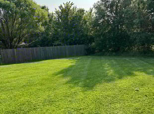 Janell C.'s turf maintenance service result