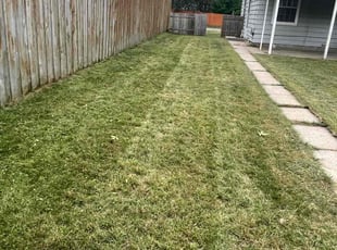 Irene S.'s lawn care services service result