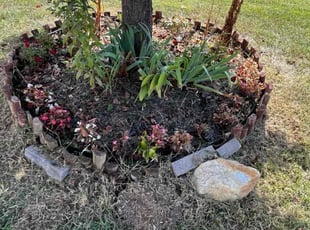 Ruby L.'s Flower Bed Weeding service result