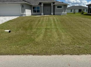 Jami D.'s grass cutting service result