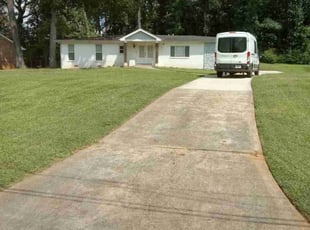 Molly M.'s turf care service result