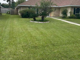 Diane A.'s lawn care service result