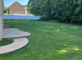 Cely M.'s turf care service result