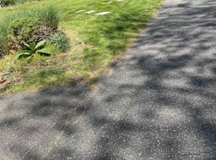 Barbara P.'s lawn service service result