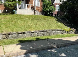 Anthony L.'s grass maintenance service result