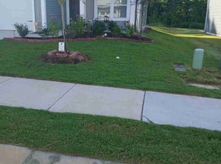 Maritza E.'s grass maintenance service result