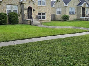 Baye M.'s turf maintenance service result