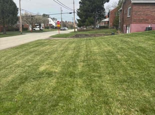 Patrick L.'s lawn service service result