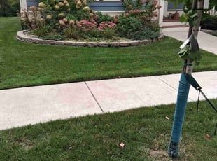 David W.'s lawn maintenance service result