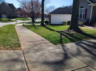 Mei V.'s lawn service service result