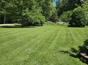 Calya S.'s gardening service service result