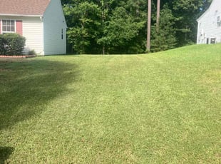 Donna C.'s gardening service service result