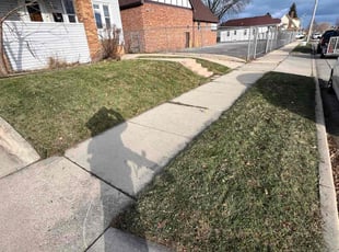William B.'s turf maintenance service result