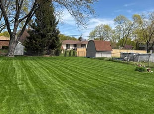 Nick R.'s lawn care services service result