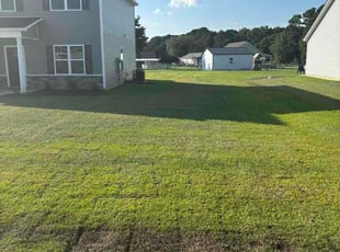 Veljko P.'s Long Grass Cleanup service result