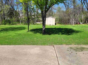 Gilbert F.'s lawn care service result
