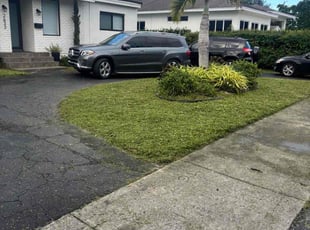 Nicki G.'s grass cutting service result