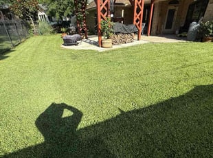 Sharon P.'s lawn maintenance service result