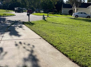 Jasmin C.'s lawn service service result