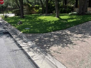Joann C.'s grass cutting service result