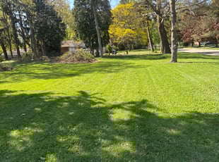 Jose F.'s grass cutting service result