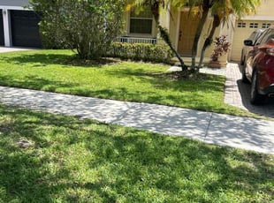 Stacy L.'s yard service service result