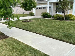 Douglas M.'s landscaping services service result