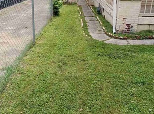 Esther C.'s turf care service result
