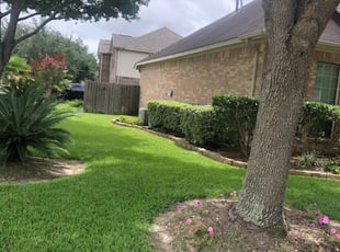 Miguel C.'s Bush Trimming service result