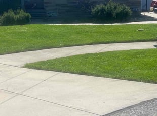 Frances B.'s lawn maintenance service result