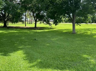 Nicole R.'s lawn care services service result