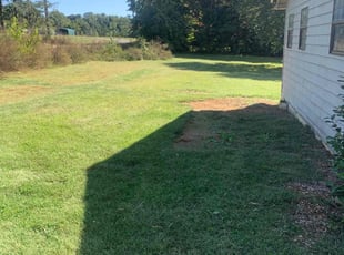 Nick S.'s grass maintenance service result