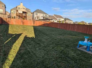 Jaime D.'s grass cutting service result