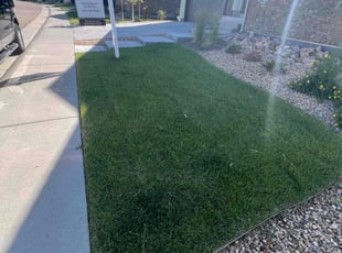 Margaret D.'s lawn care services service result