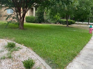 Anthony C.'s grass maintenance service result