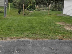 Jairus M.'s grass cutting service result